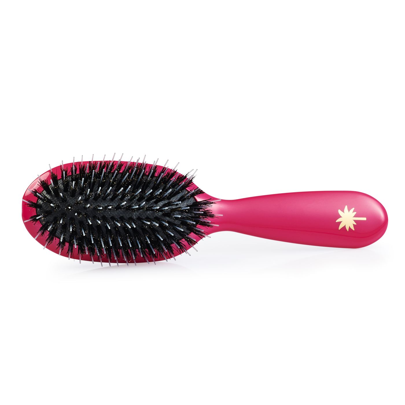 Fan Palm Sweet Pea Borstel Everzwijnhaar Roze Care For Hair
