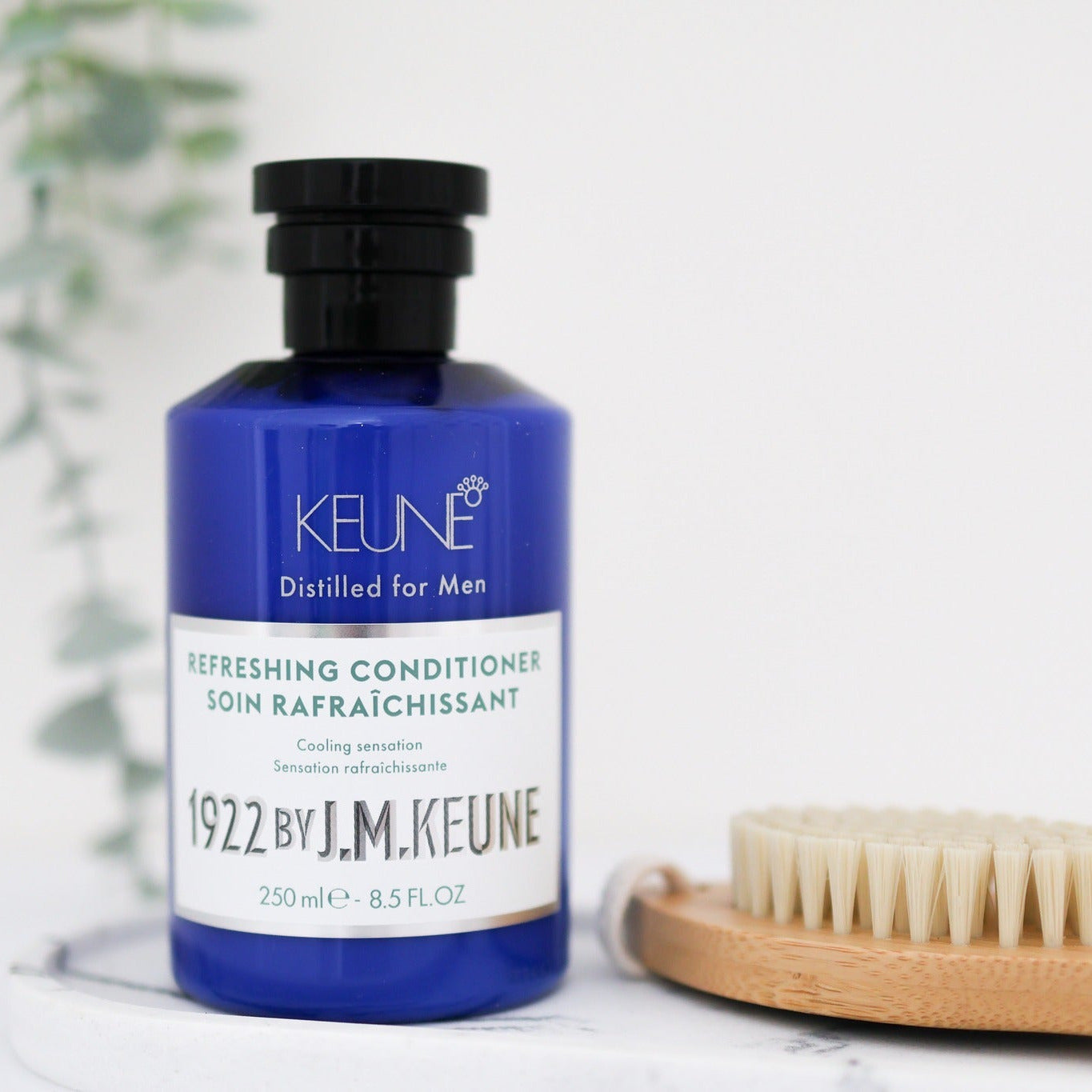 1922 by J.M. Keune Refreshing conditioner CFH Care For Hair