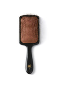 Fan Palm Big Star Wet Paddle Brush