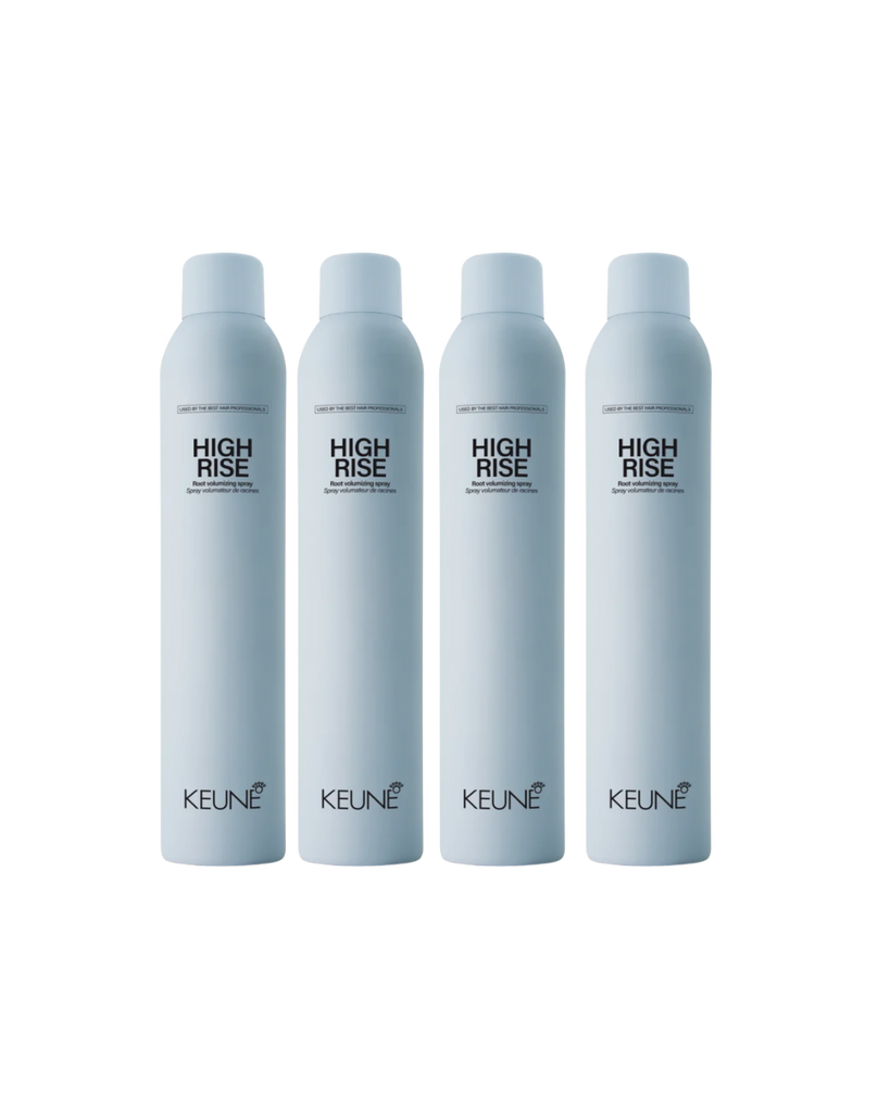 Keune Style High Rise 4 stuks verkrijgbaar bij Care For Hair