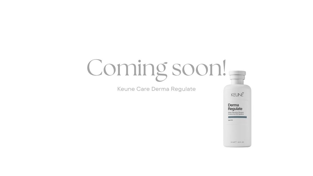 Keune Care Derma Regulate Vette Hoofdhuid CFH